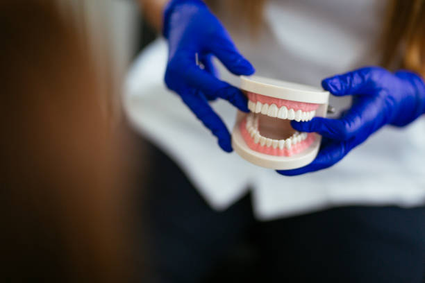 Best Preventive Dentistry  in San Carlos Park, FL
