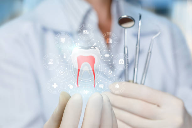 Why Choose Us for Your Dental Needs in San Carlos Park, FL
